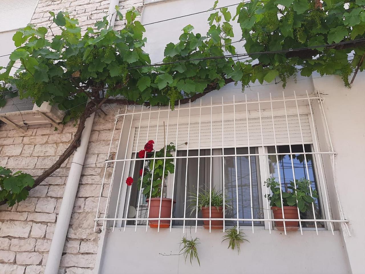 Sofia'S Modern Apartment Gjirokastër Dış mekan fotoğraf